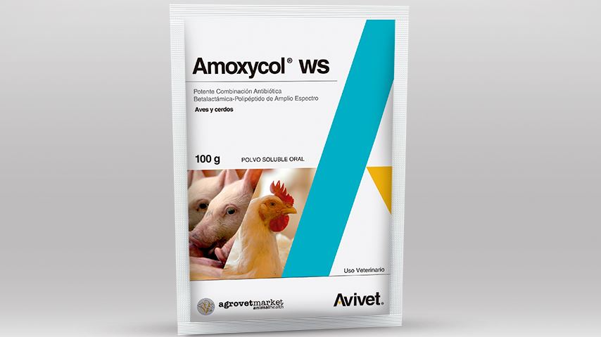 antibioticos para pollos