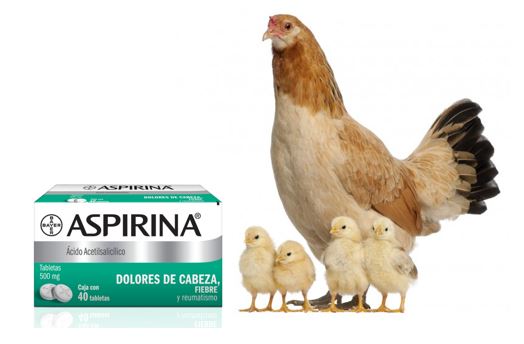 Dosis de aspirina para aves