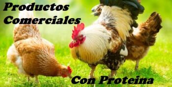 productos con proteina para aves